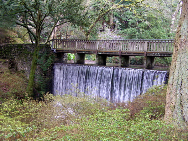 Bridge and Waterfall, Bodnant