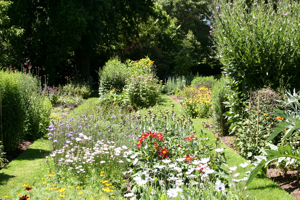 Chelsea Physic Garden