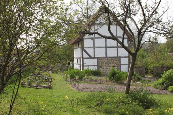 Weald and Downland Museum Medieval Gardens