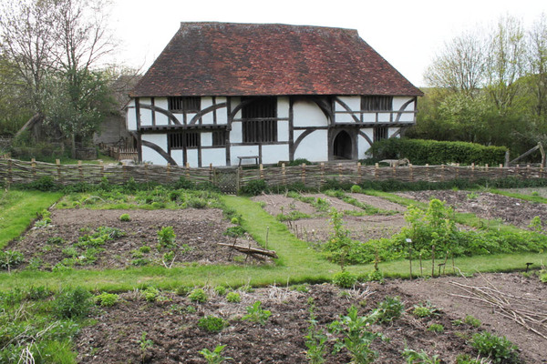 Weald and Downland Museum Medieval Gardens