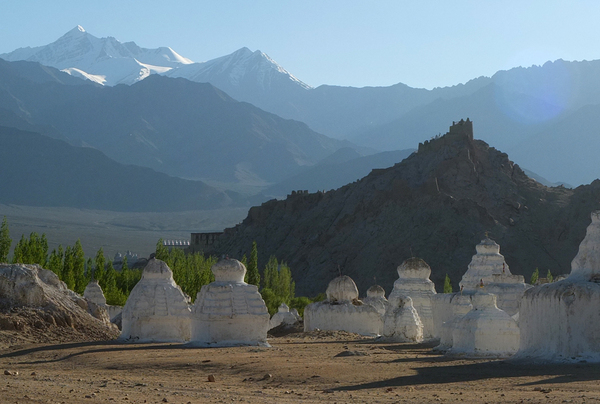 Dragon Garden Druk White Lotus School in Ladakh India