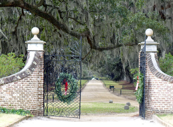 Gate, Boone Hall Plantation