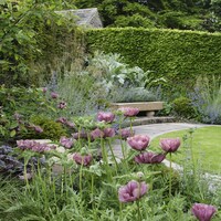 York Gate Garden