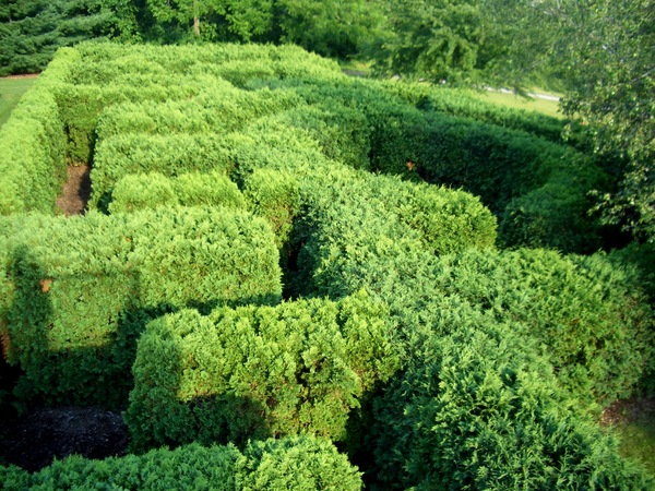 Maze, Klehm Arboretum & Botanic Garden