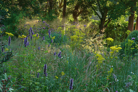 The Sunny Meadow, Knoll Gardens