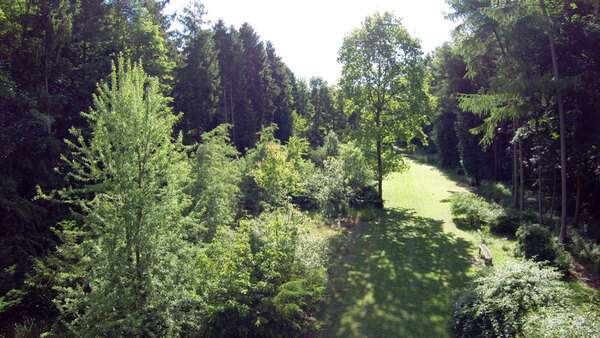 Evenley Wood Garden view