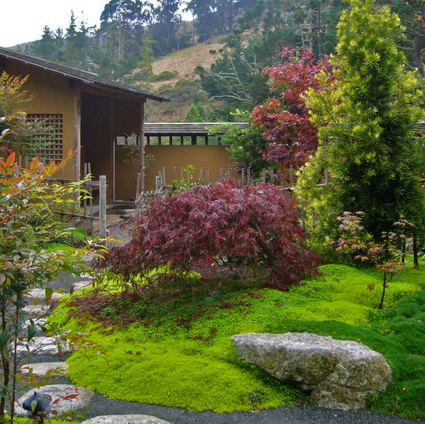 Green Gulch Zen Tea Garden