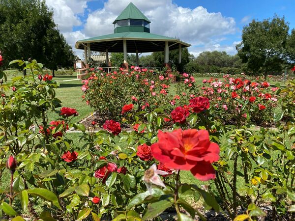Mornington Rose Gardens, Australia