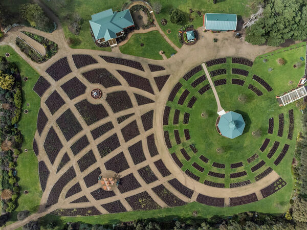 Aerial view of Mornington Rose Gardens