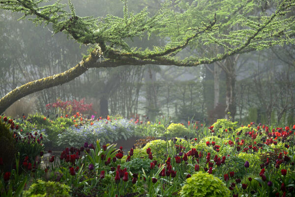 June Blake's Garden, County Wicklow