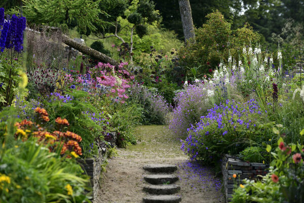 June Blake's Garden