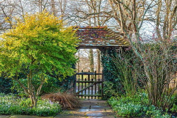 Gate, Bates Green Garden