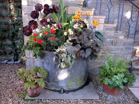 Bourton House Garden