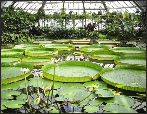 Belgium National Botanic Garden