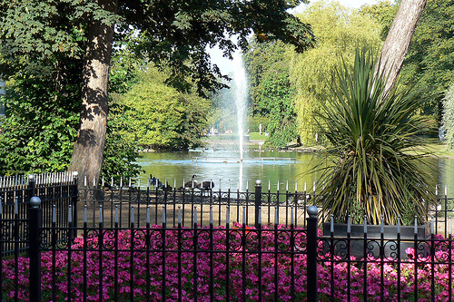 View over the Lake, Cannon Hill Park