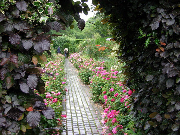 Rose Border, Kiftsgate Court Garden