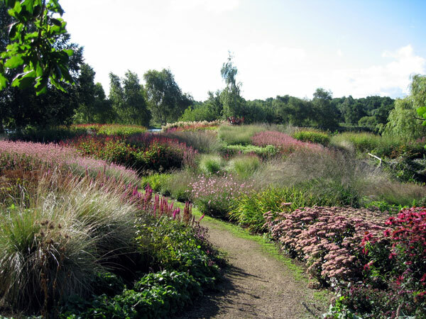 Millenium Garden in August, Pensthorpe