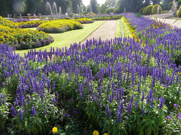 Waddesdon Manor Garden, Buckinghamshire