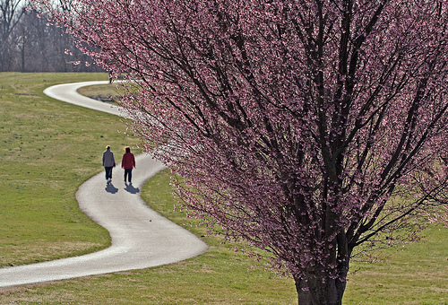 Lexington Arboretum, Spring