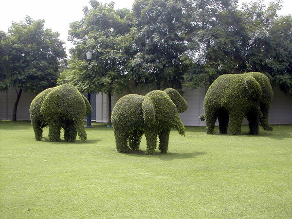 Elephant Topiary, Bang Pa-In Summer Palace