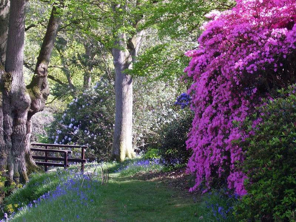 High Beeches Garden, West Sussex