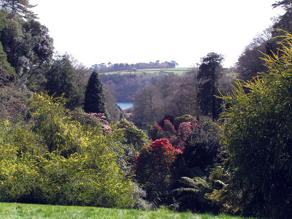 Trebah Garden, Cornwall