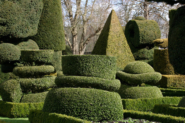 Topiary, Levens Hall Garden