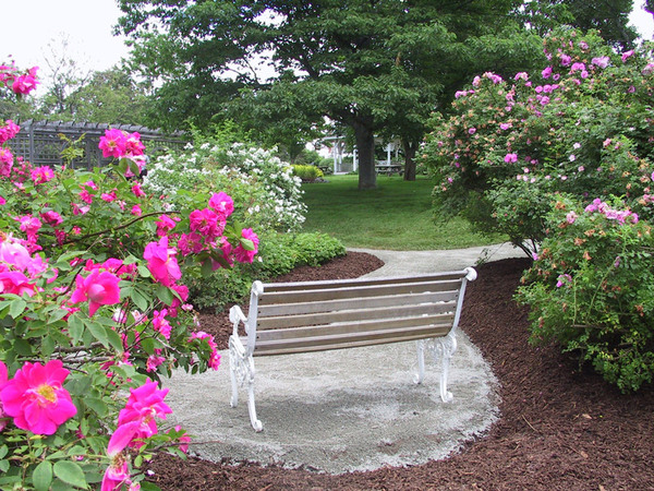 Bench, NSAC Alumni Gardens