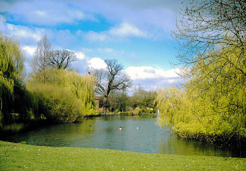 Pond, Priory Gardens