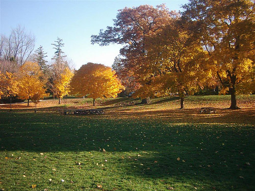 Springbank Park in Autumn