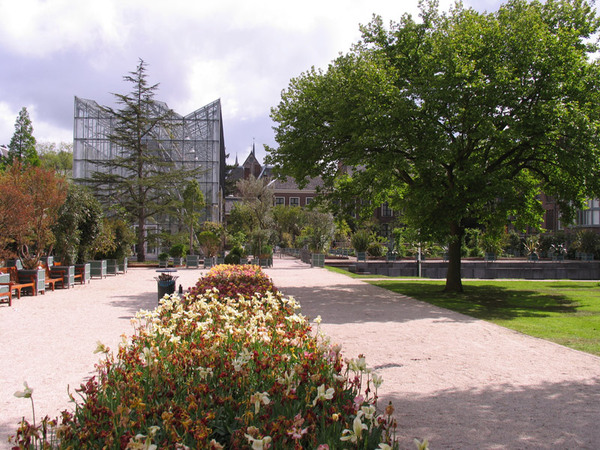 Leiden Botanical Garden, Holland