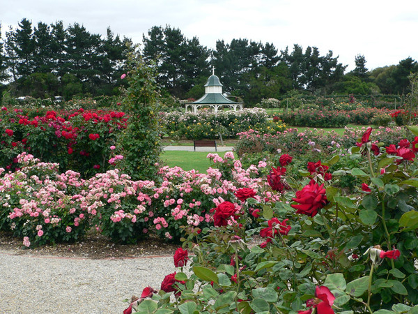 Gazebo, Victoria State Rose Garden