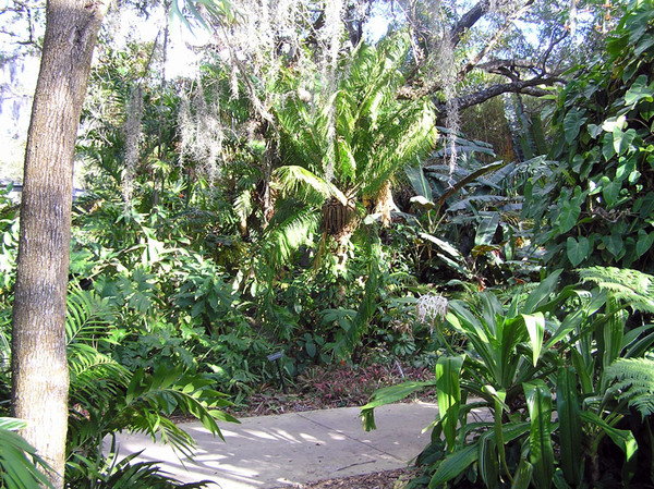 Marie Selby Garden, Florida
