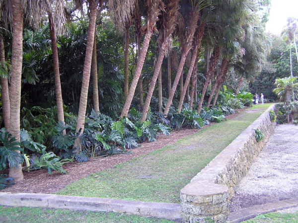 Fairchild Tropical Botanic Garden, Florida