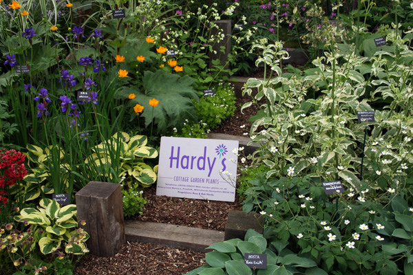 Hardys Cottage Garden Plants, Hampshire