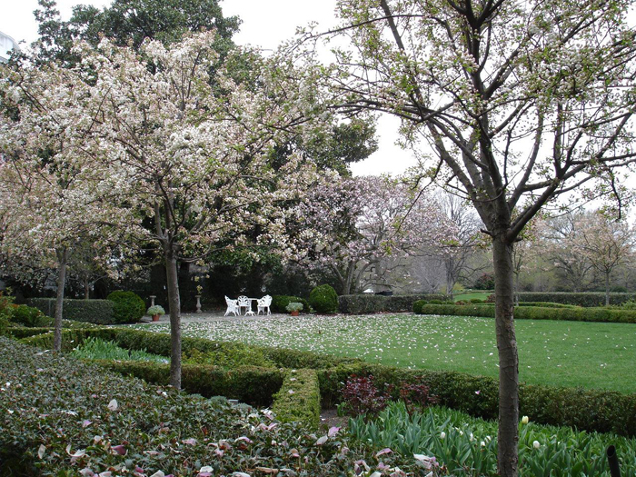 The White House Garden