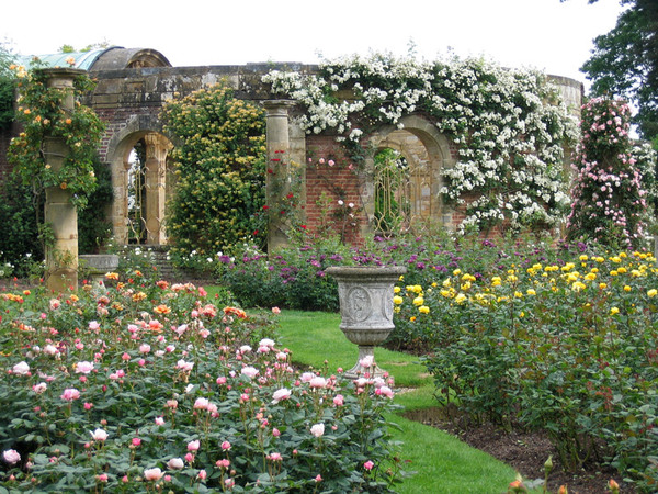 Rose Garden, Hever Castle