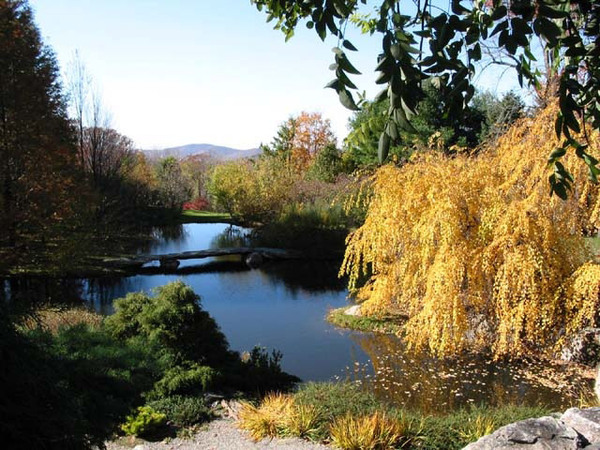 Lake, Stonecrop Gardens