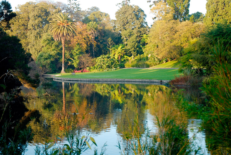 Getting to the Royal Botanic Gardens Victoria, Melbourne