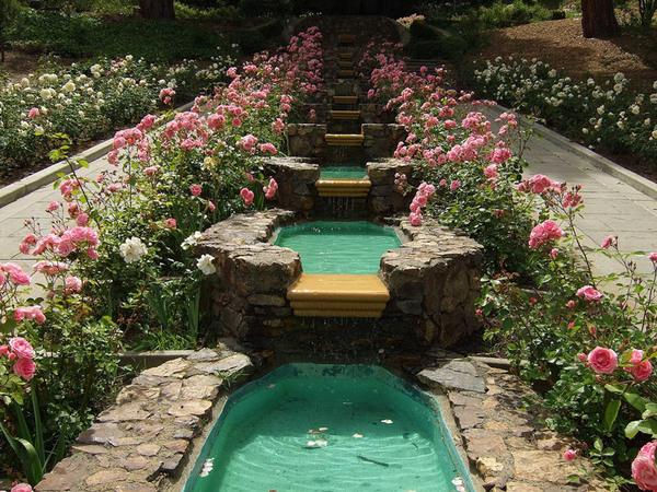 Morcom Rose Garden, California