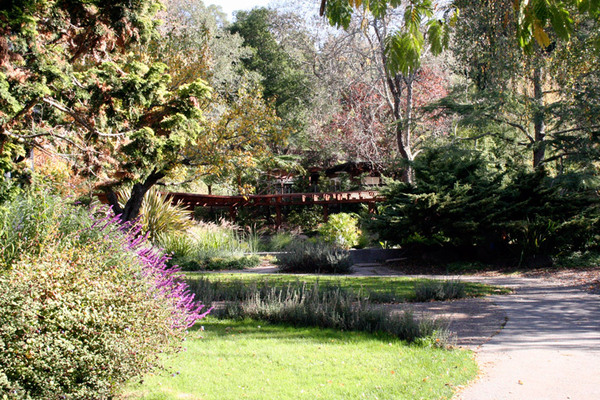 Marin Art & Garden Center, California