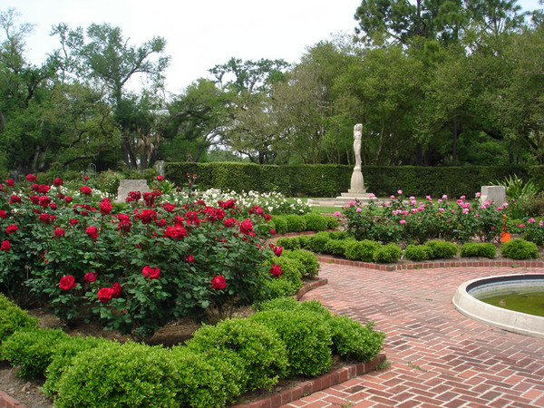 Rose Garden, New Orleans Botanical Garden