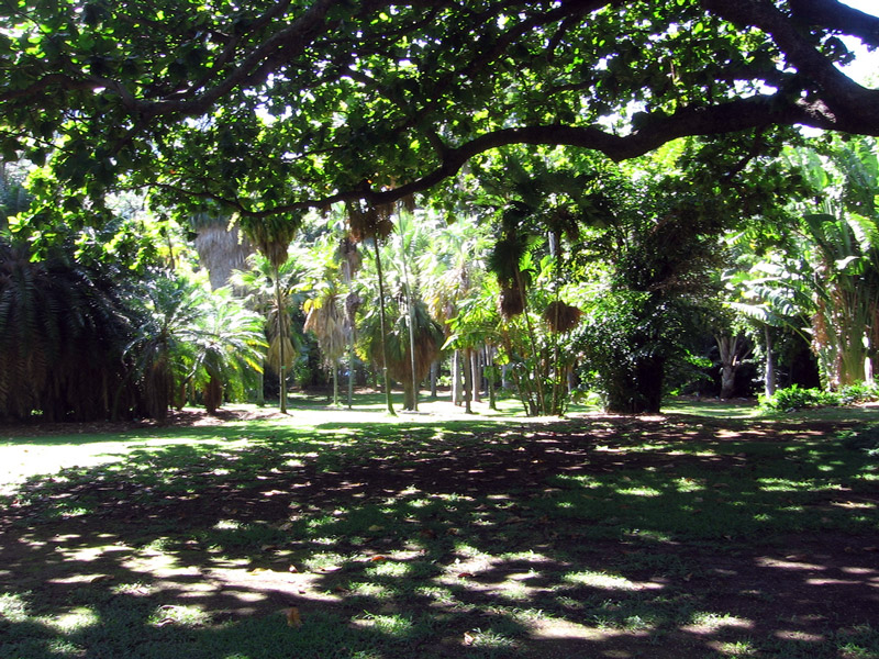 Foster Botanical Garden