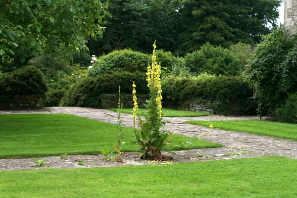 Great Chalfield Manor Garden, Wiltshire