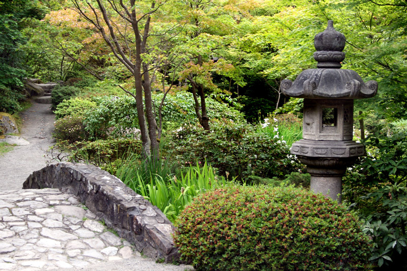 Japanese Garden In Washington Park