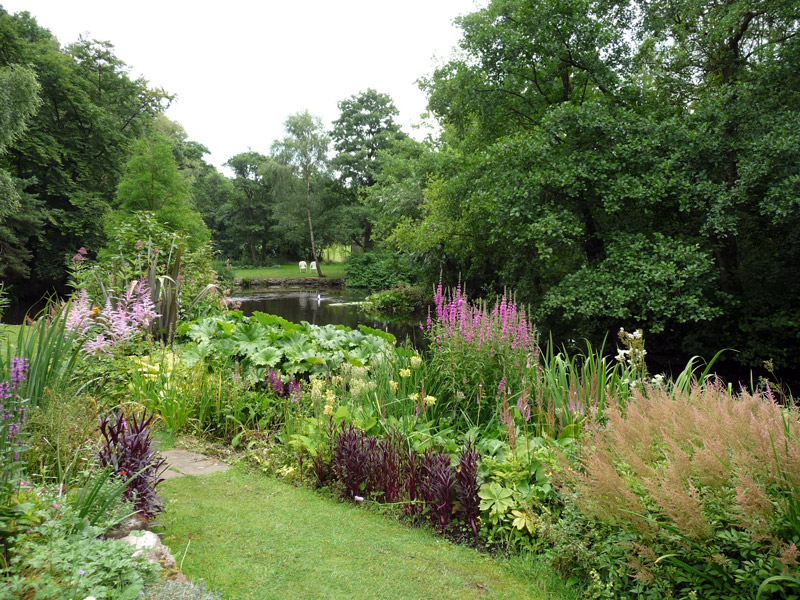 Stonyford Cottage Nursery Gardens