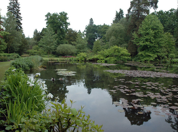 Longstock Park Water Gardens