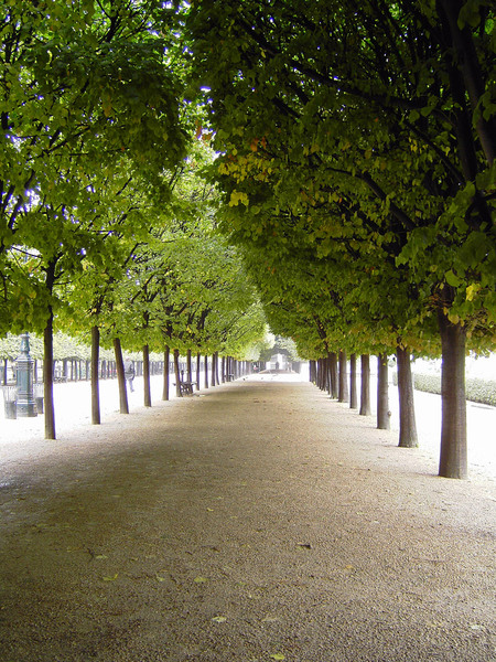 Avenue, Palais Royal