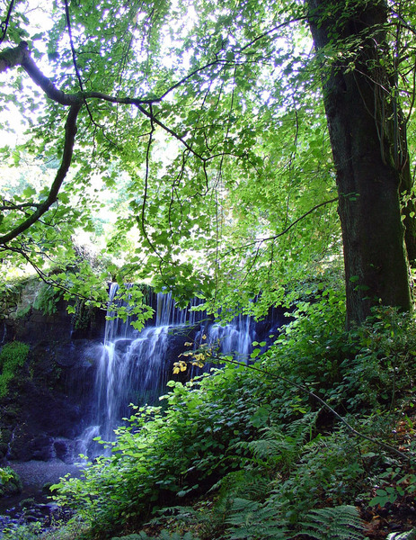 Waterfall, Finlaystone Country Estate