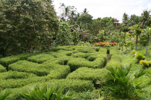 Ubud Botanic Garden